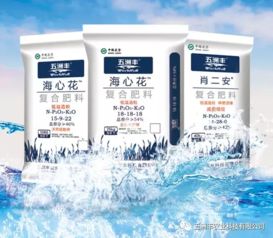 中國(guó)腐植酸網(wǎng)