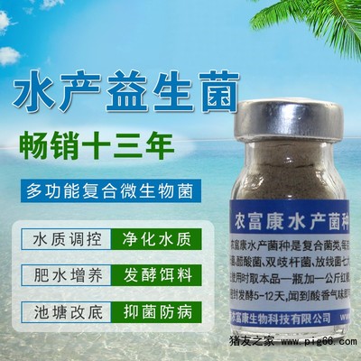 養(yǎng)蝦生物有益菌購(gòu)買指南 菌種來源與選擇策略