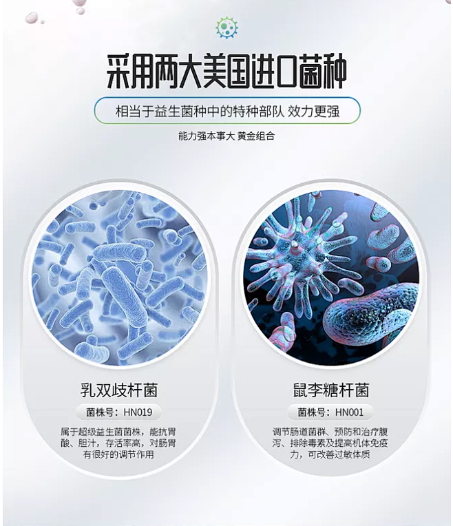 兩大典型生物菌株解析 枯草芽孢桿菌與釀酒酵母