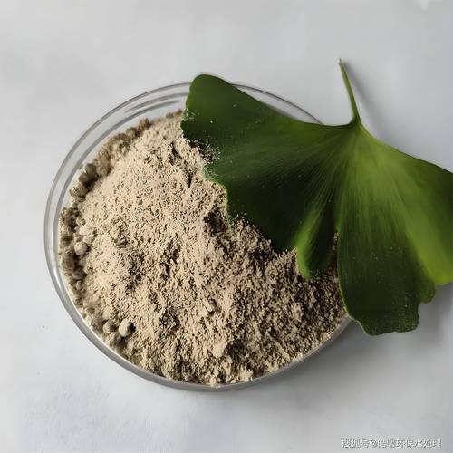 微生物菌種在廢水處理中的高效降解機(jī)制
